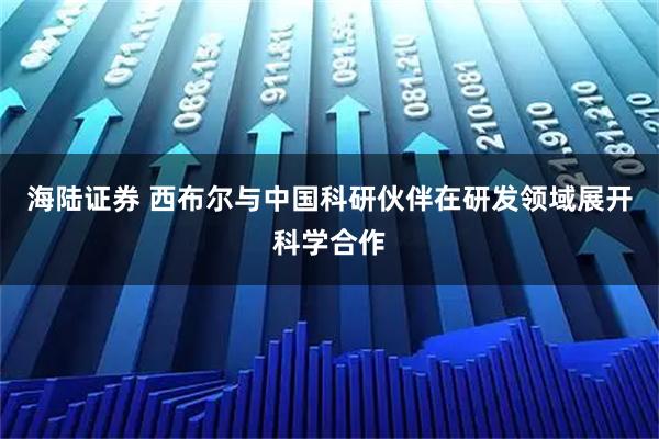 海陆证券 西布尔与中国科研伙伴在研发领域展开科学合作